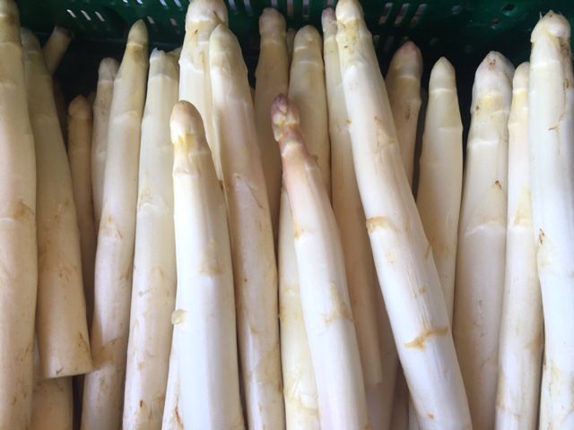 Bornheimer Spargel vom Biobauer Palm